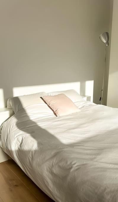 Charming 3-bedroom House With Big City Garden, Ideal For Expats Or Families Apartment Antwerpen
