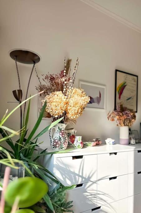 Charming 3-bedroom House With Big City Garden, Ideal For Expats Or Families Antwerpen